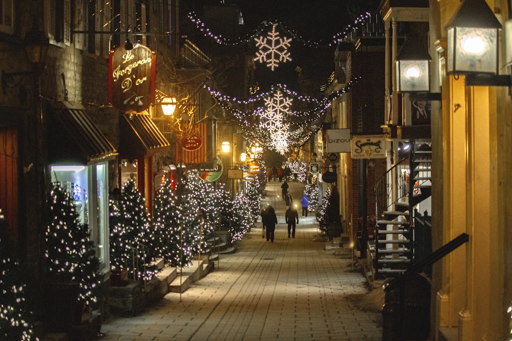 people walking on alley road at night