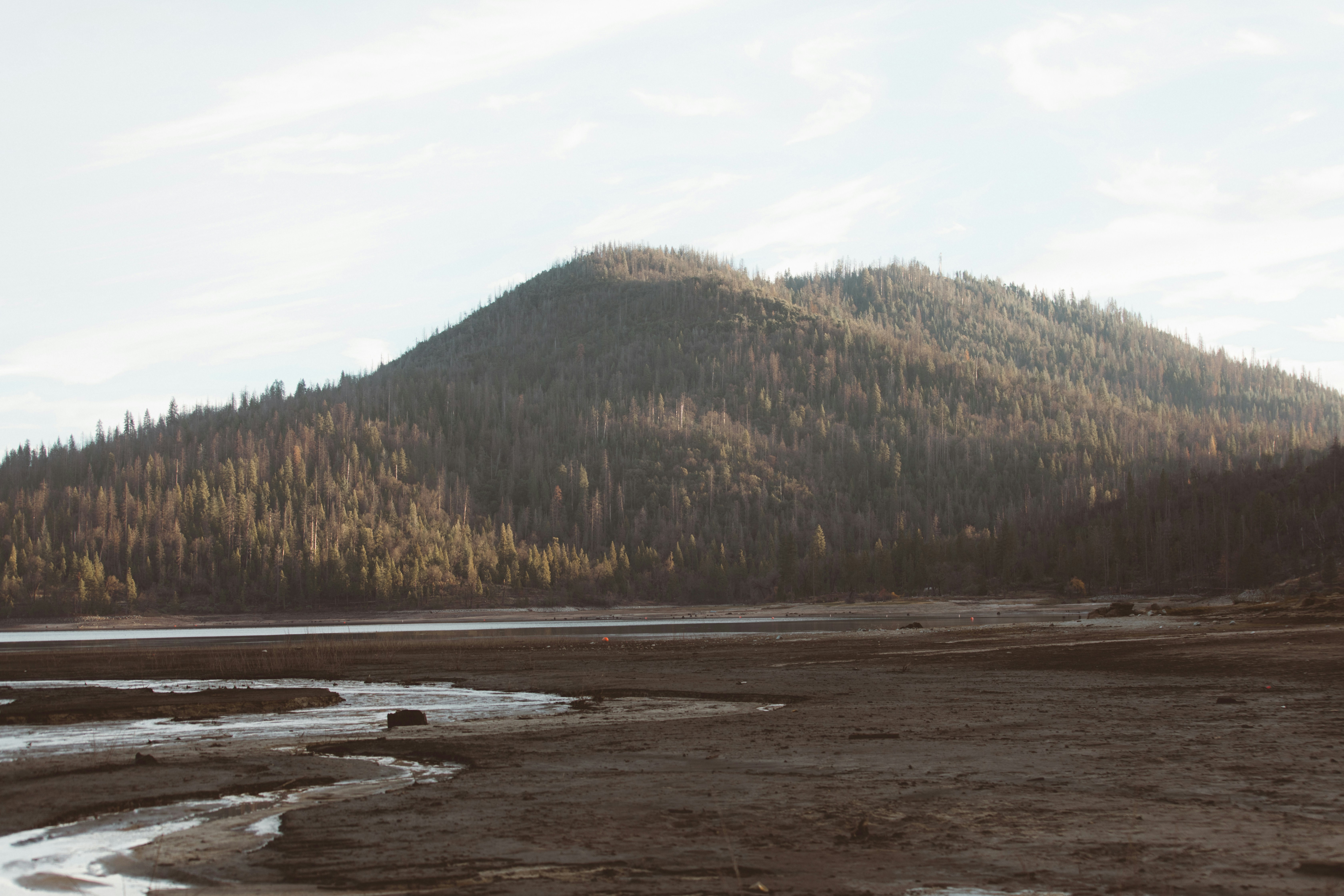 Photo by nate_dumlao