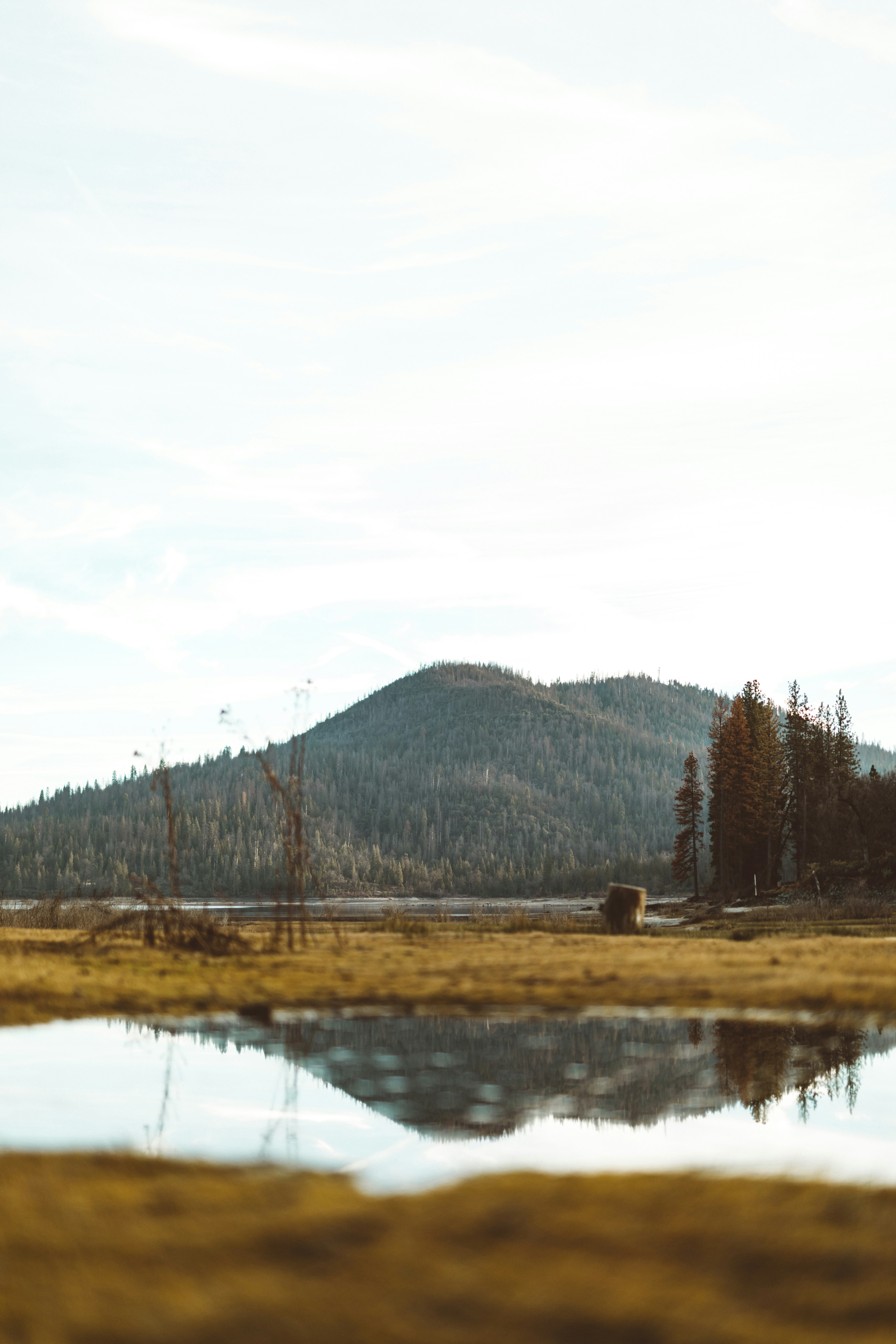 Photo by nate_dumlao