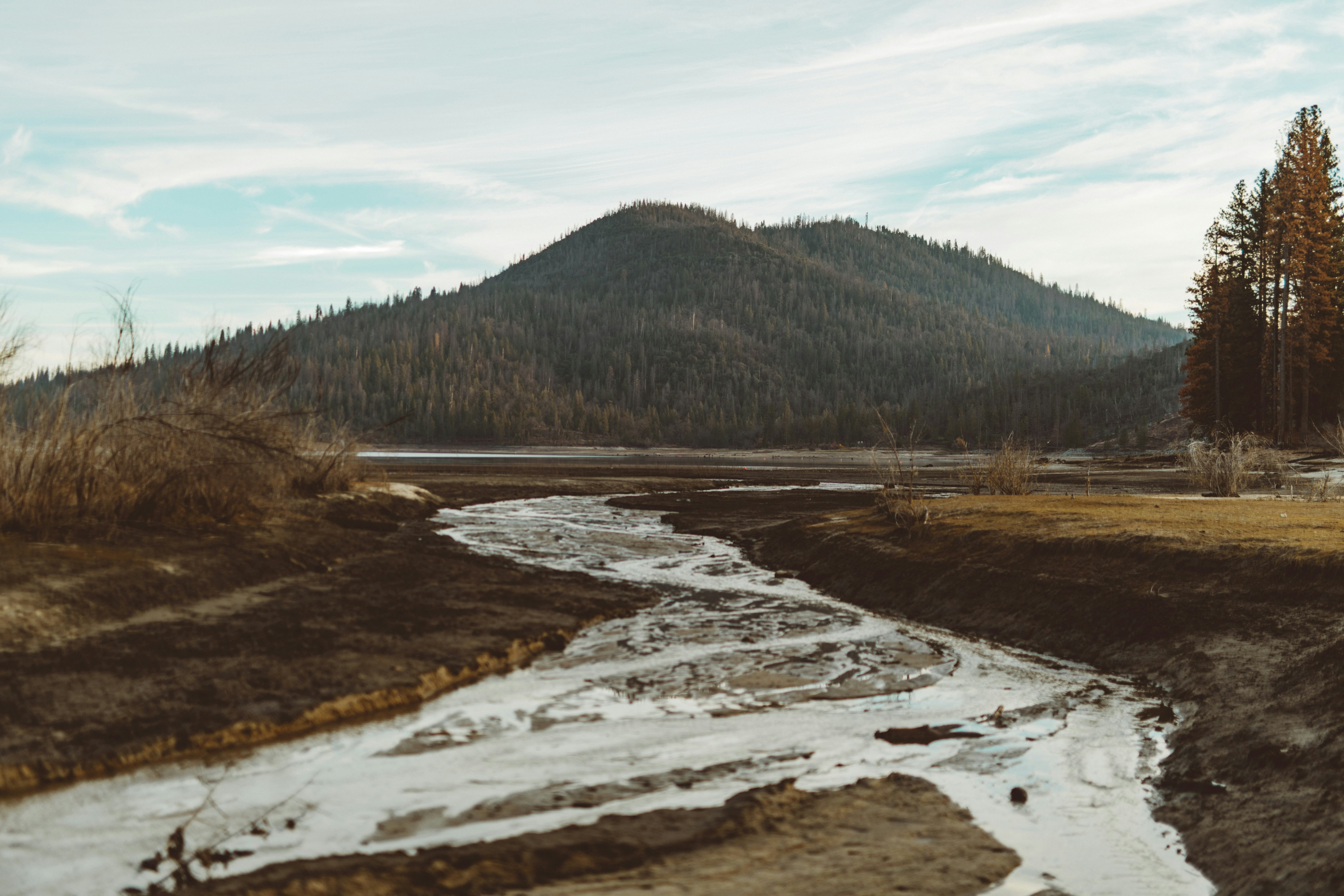 Photo by nate_dumlao