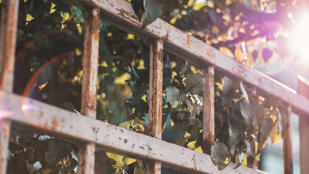 white metal gate close-up photo