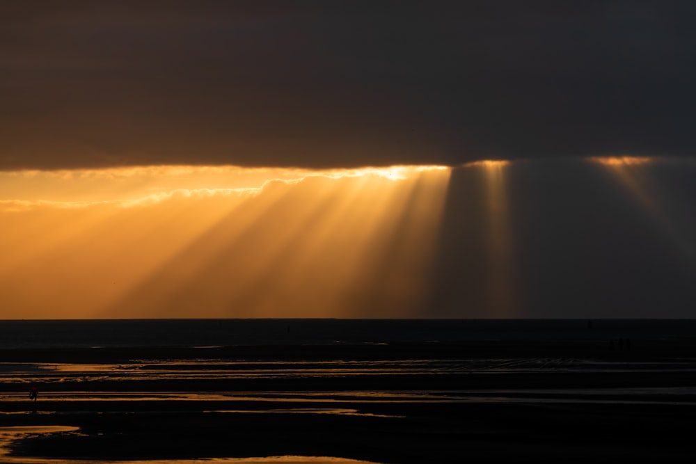 sea during golden hour