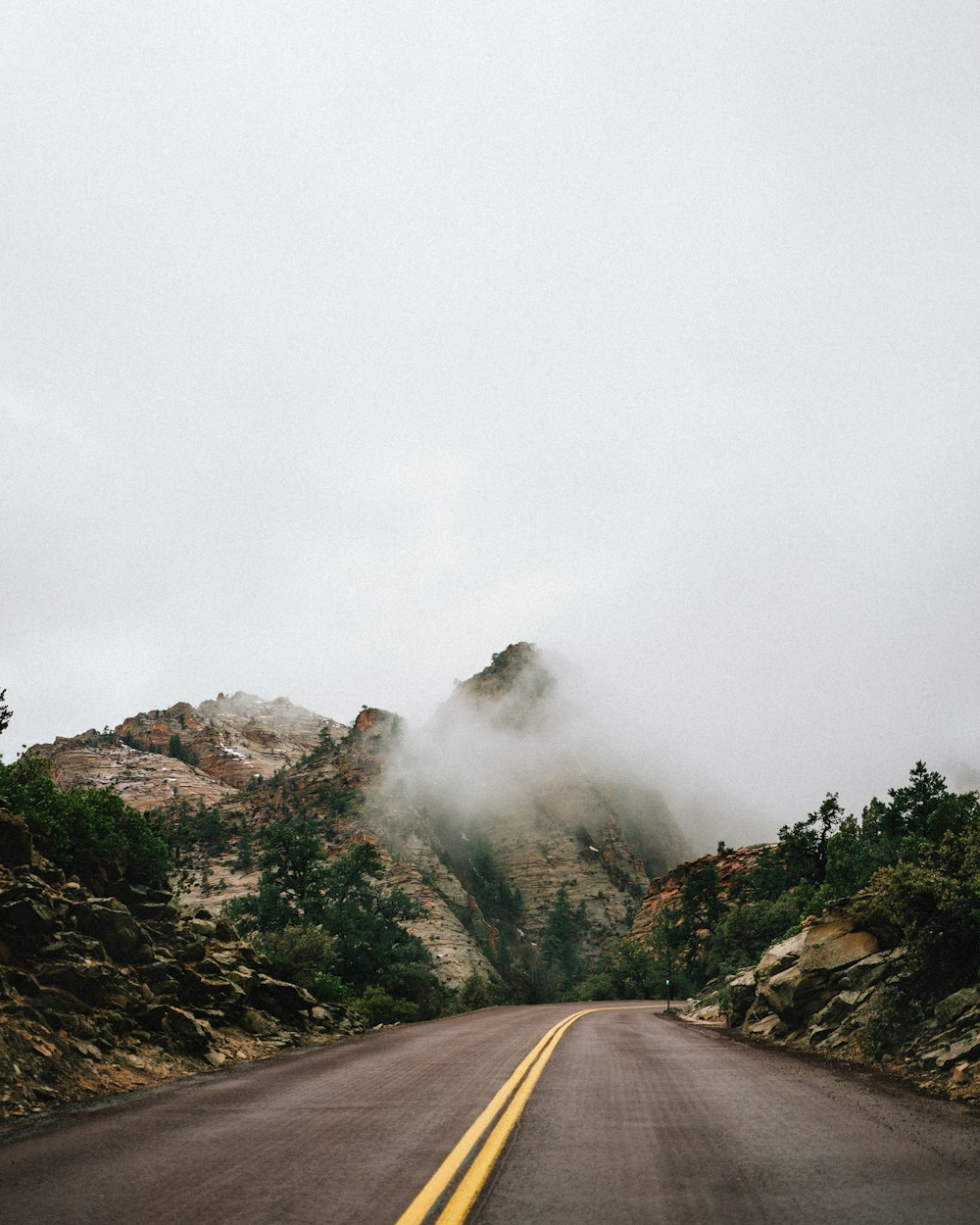 mountain covered with fog