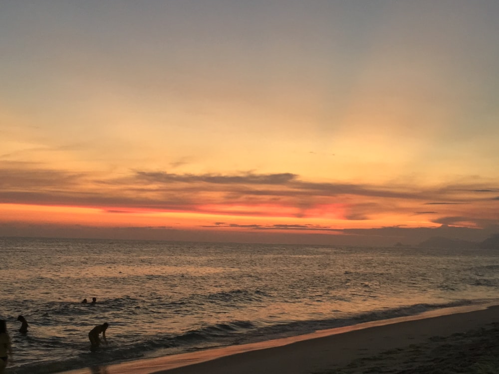 shore during sunset