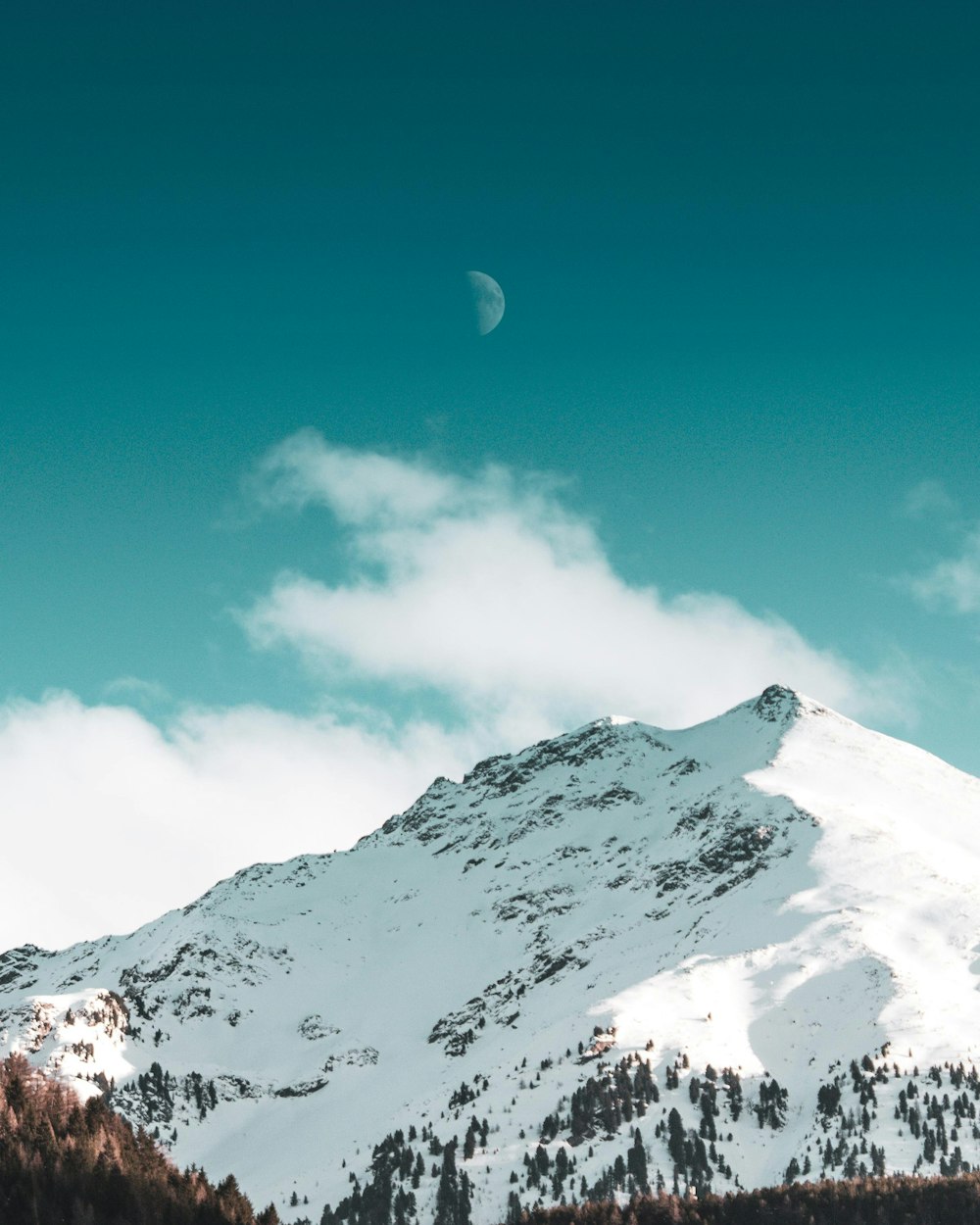 green trees on mountain