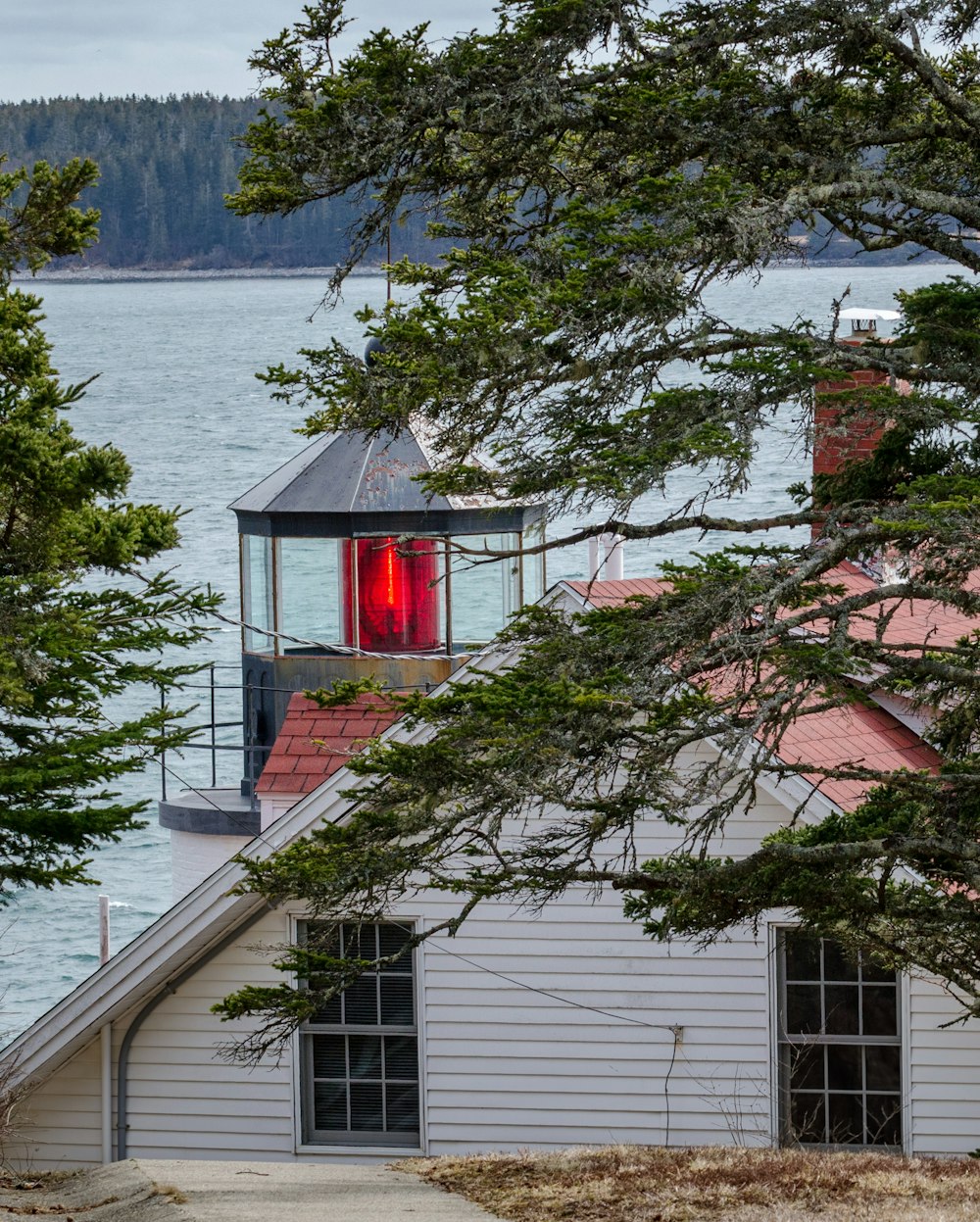 Casa de madera roja y blanca cerca del cuerpo de agua