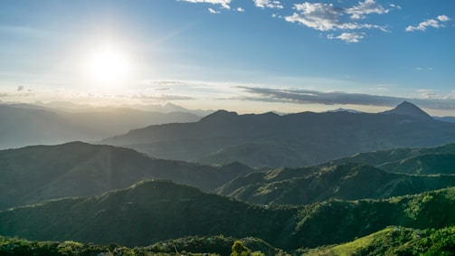 A scenic view of chili fields stretching under a clear blue sky at sunrise.