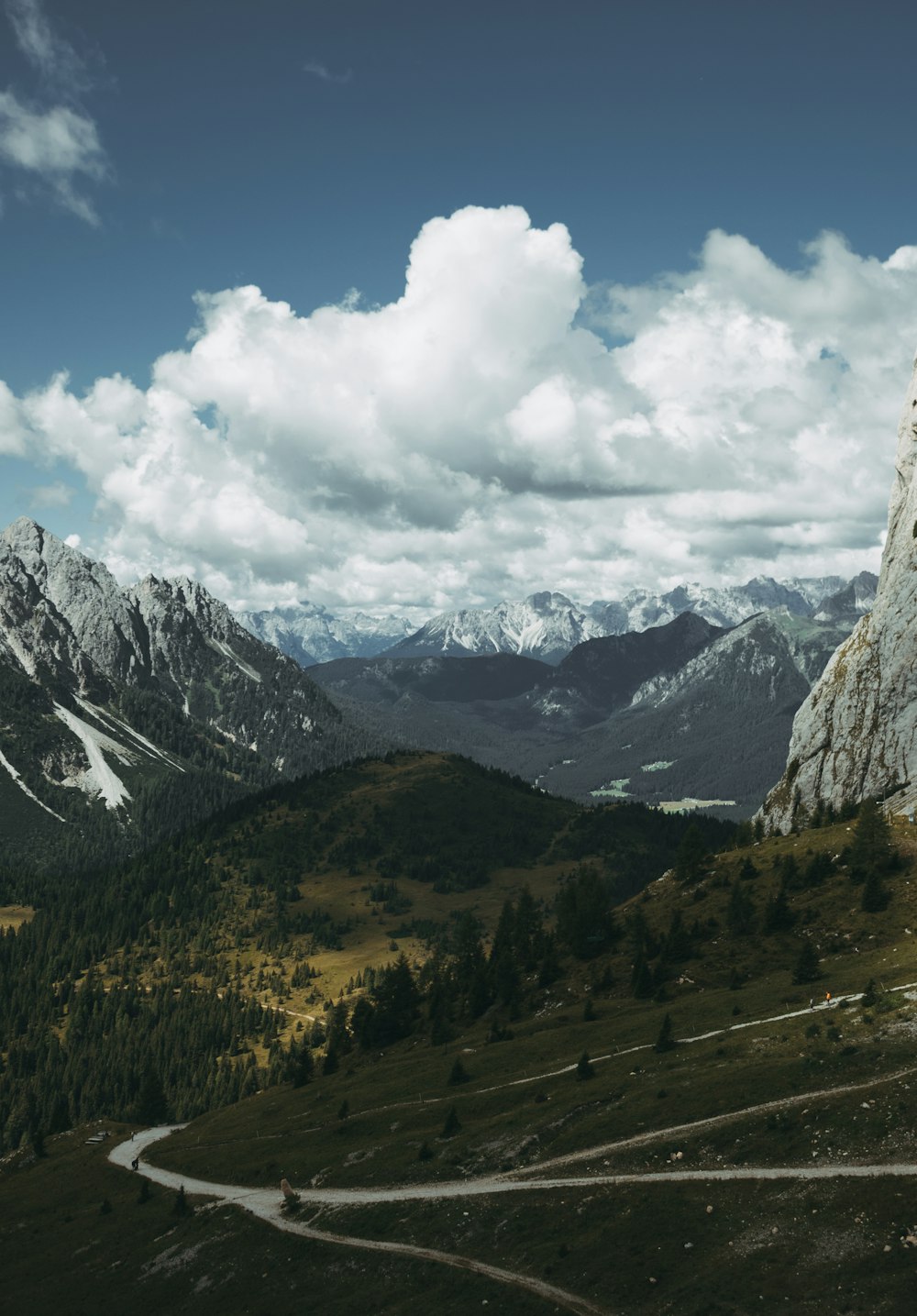 green trees and mountain under white skt