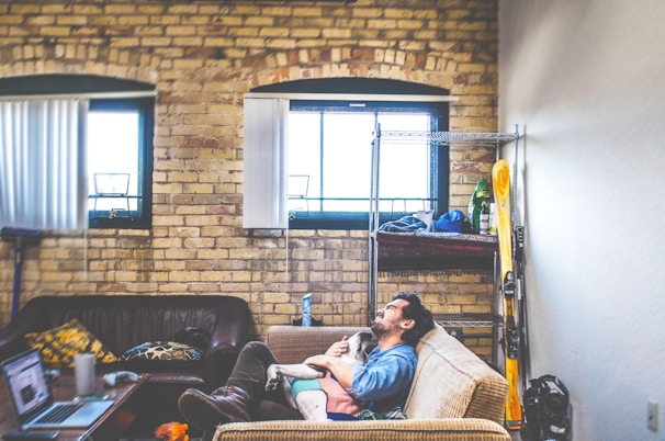 Cozy living room with a sleeping dog on the couch during a house sitting visit.