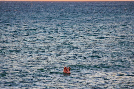 man and woman kissing on sea in Adelaide SA Australia