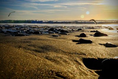 A stunning travel video shoot on a sunlit beach capturing authentic moments.