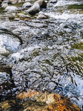 A flowing stream with clear water running over rocks of various sizes. The water creates small ripples and bubbles as it flows. The rocks are smooth and rounded, appearing at the bottom and sides of the stream.