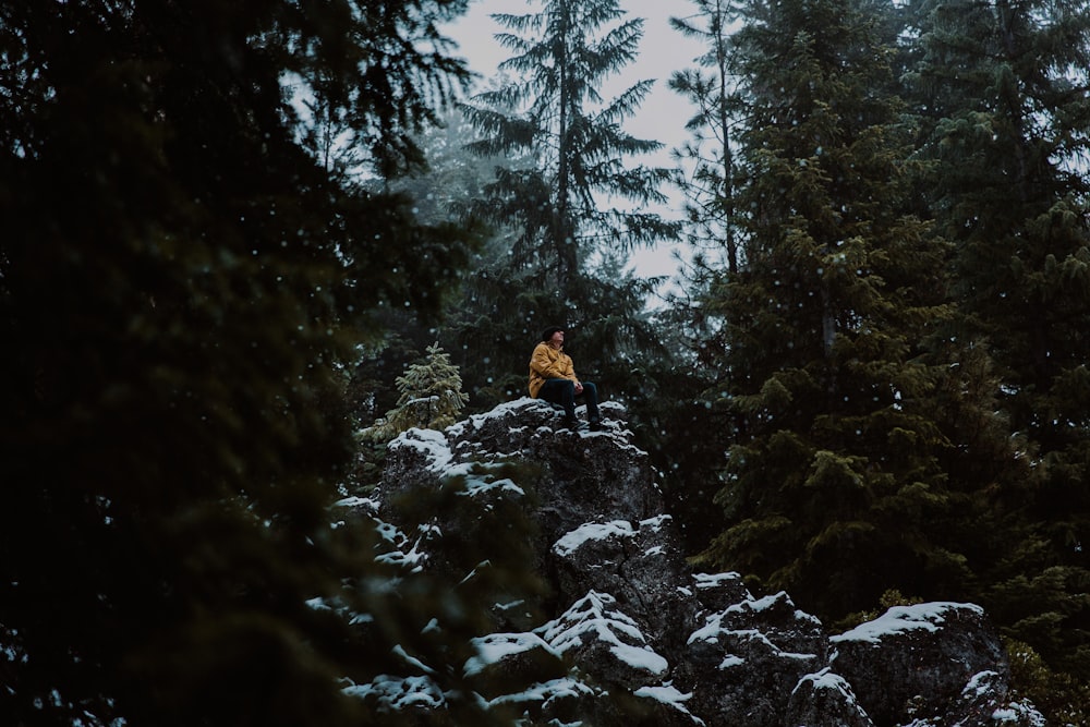 person sitting on rock formation surrounded with green trees during daytime