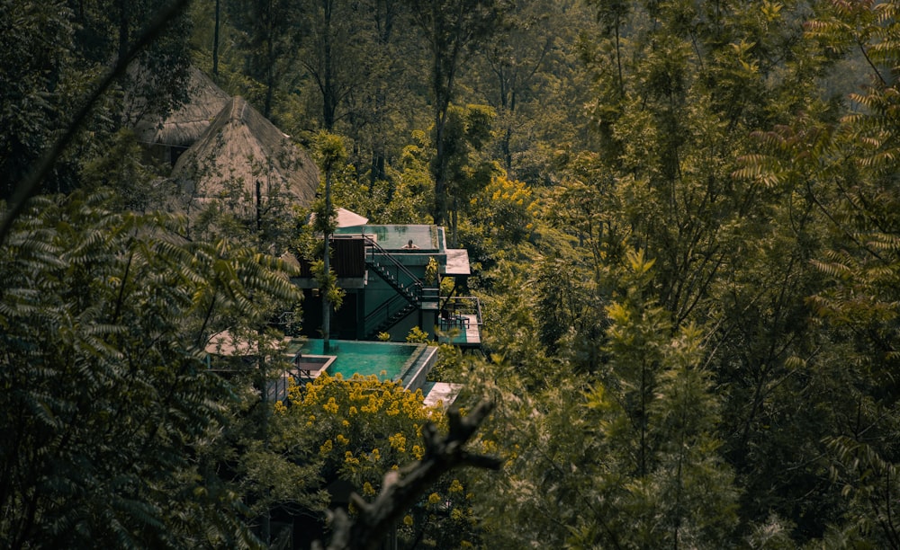 house with pool in between jungle