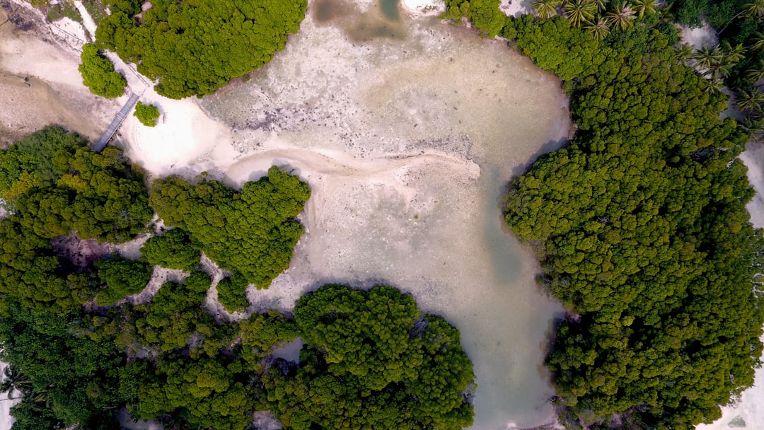 aerial photography of island covered with green leaf trees