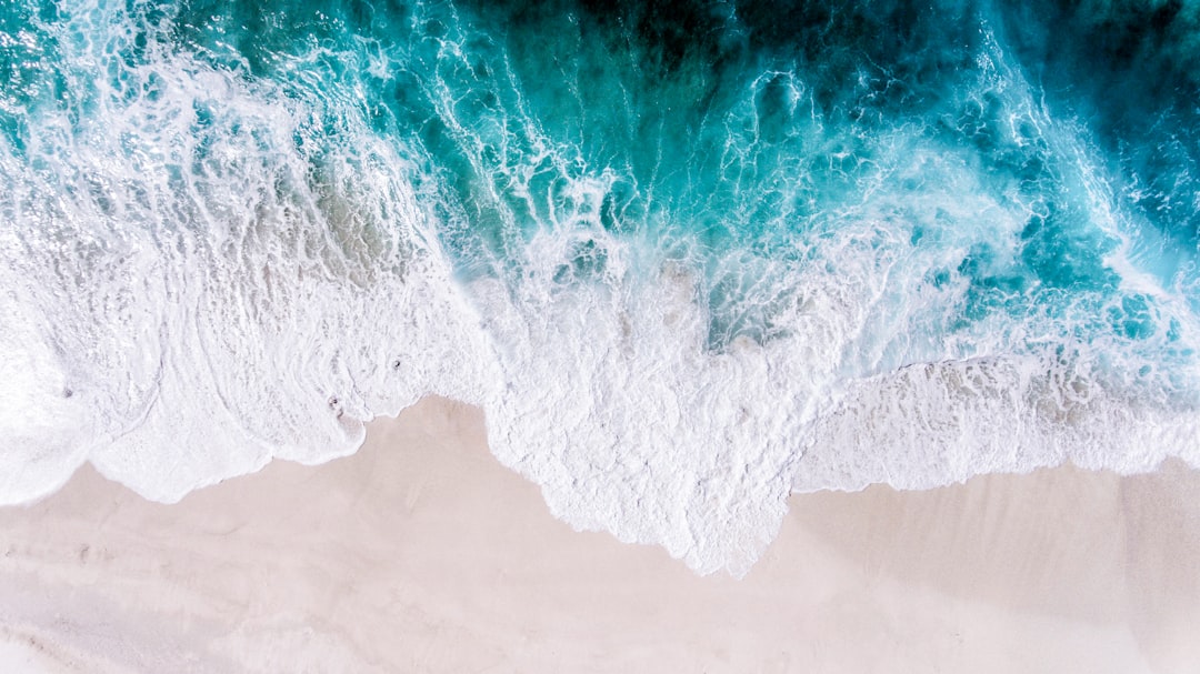 aerial seashore waves