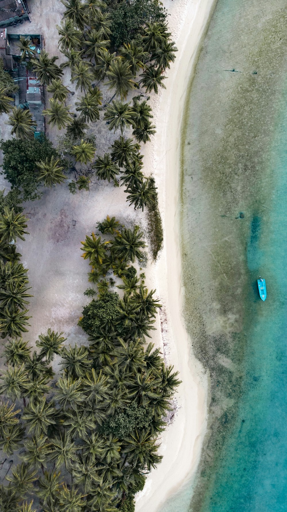 aerial photography of blue beach and island