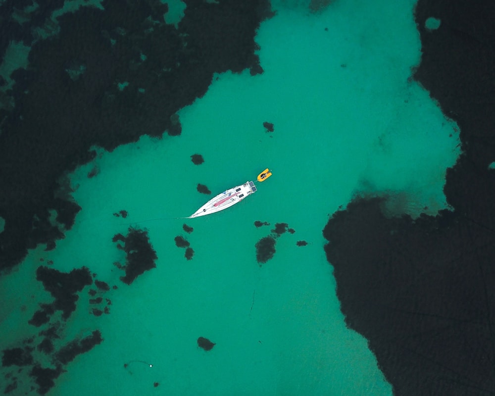 aerial photo of speedboat