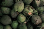 pile of coconuts