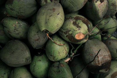 Food industry coconut supply