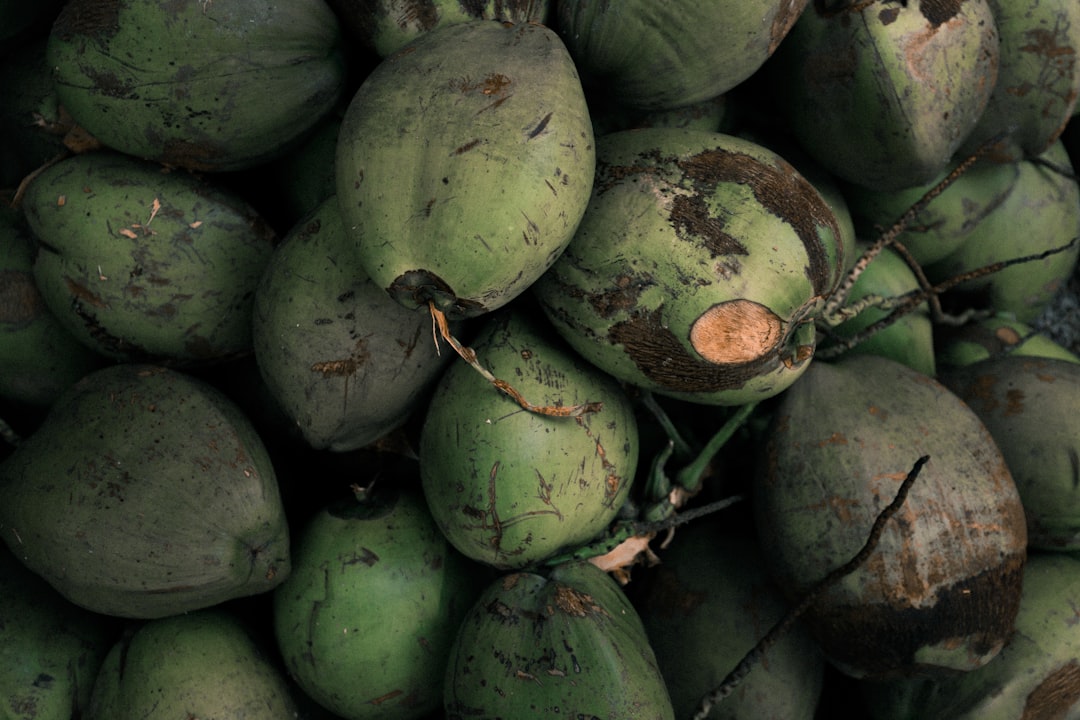 pile of coconuts