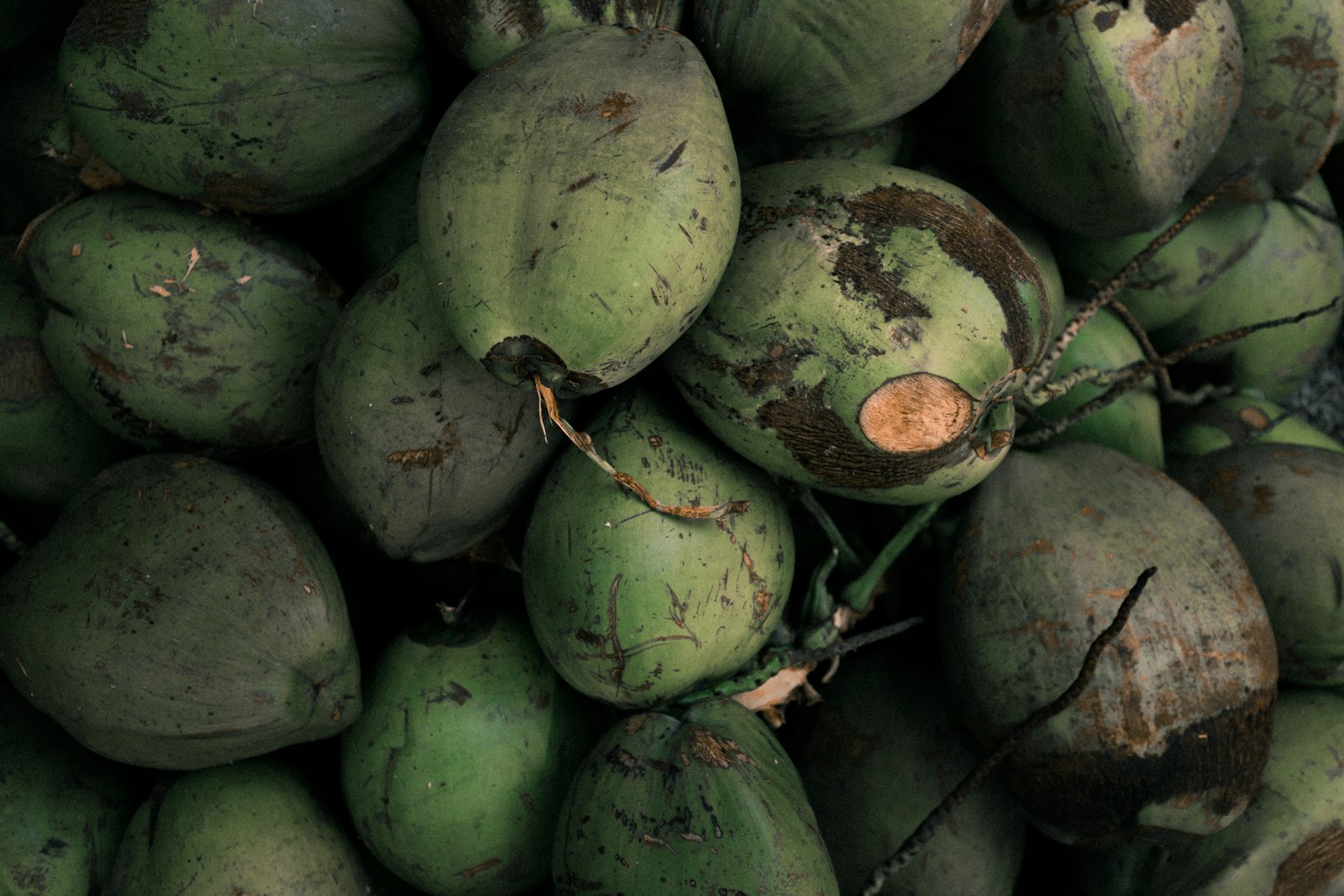 Canon EOS 6D Mark II + Canon EF 16-35mm F4L IS USM sample photo. Pile of coconuts photography