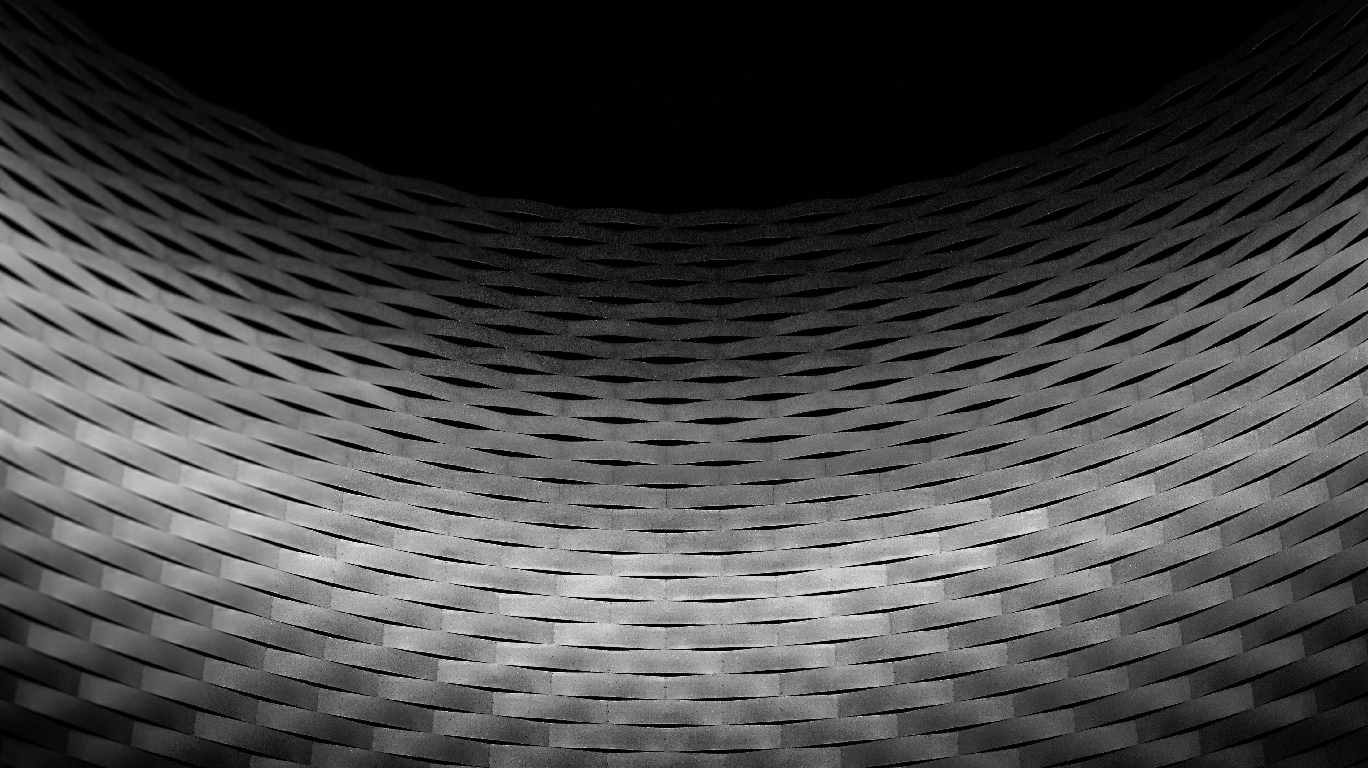 black and white area rug