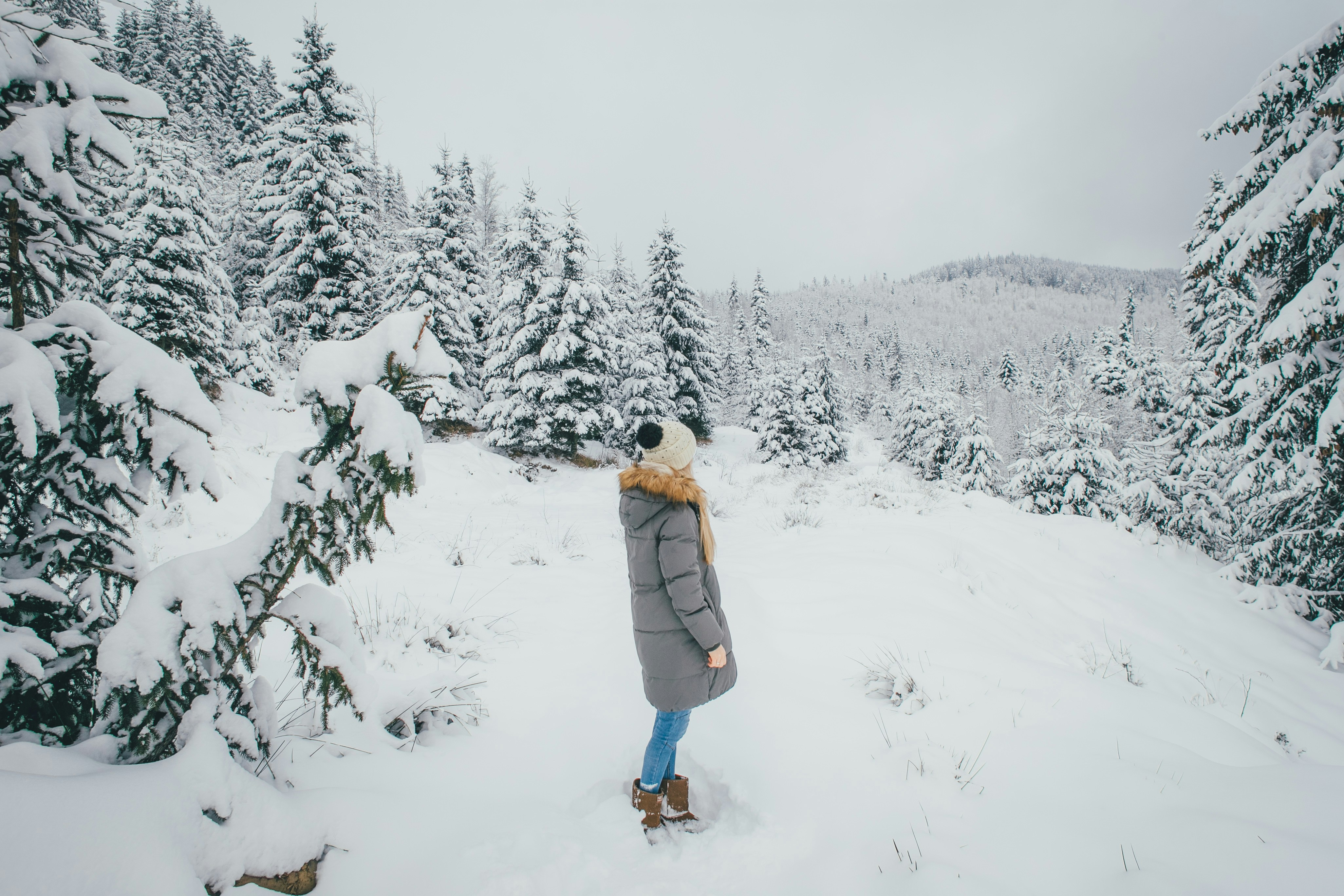 Photo by eugenezhyvchik