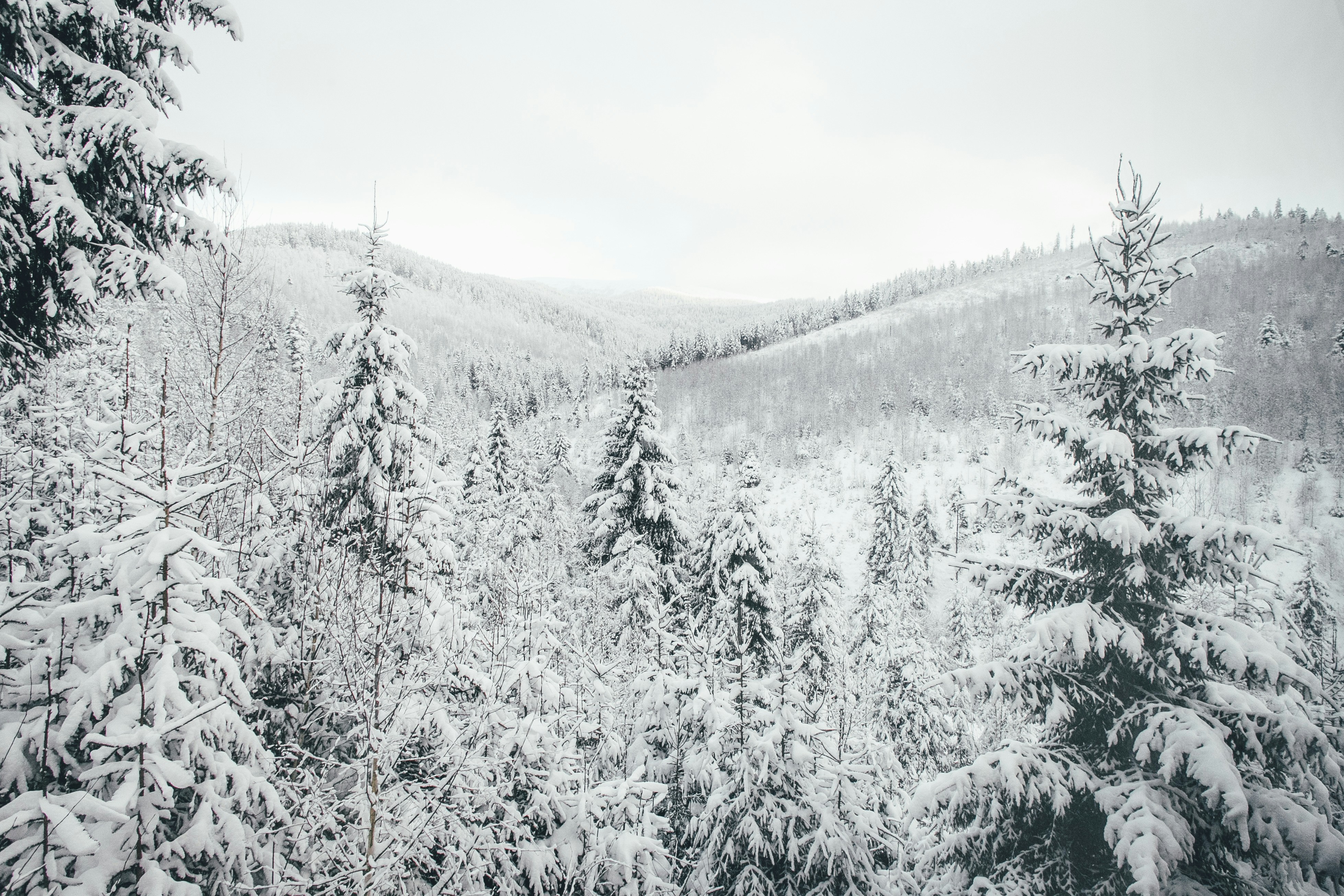 Photo by eugenezhyvchik