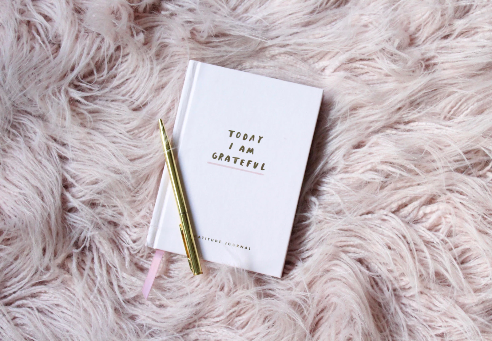 The quiet power of gratitude