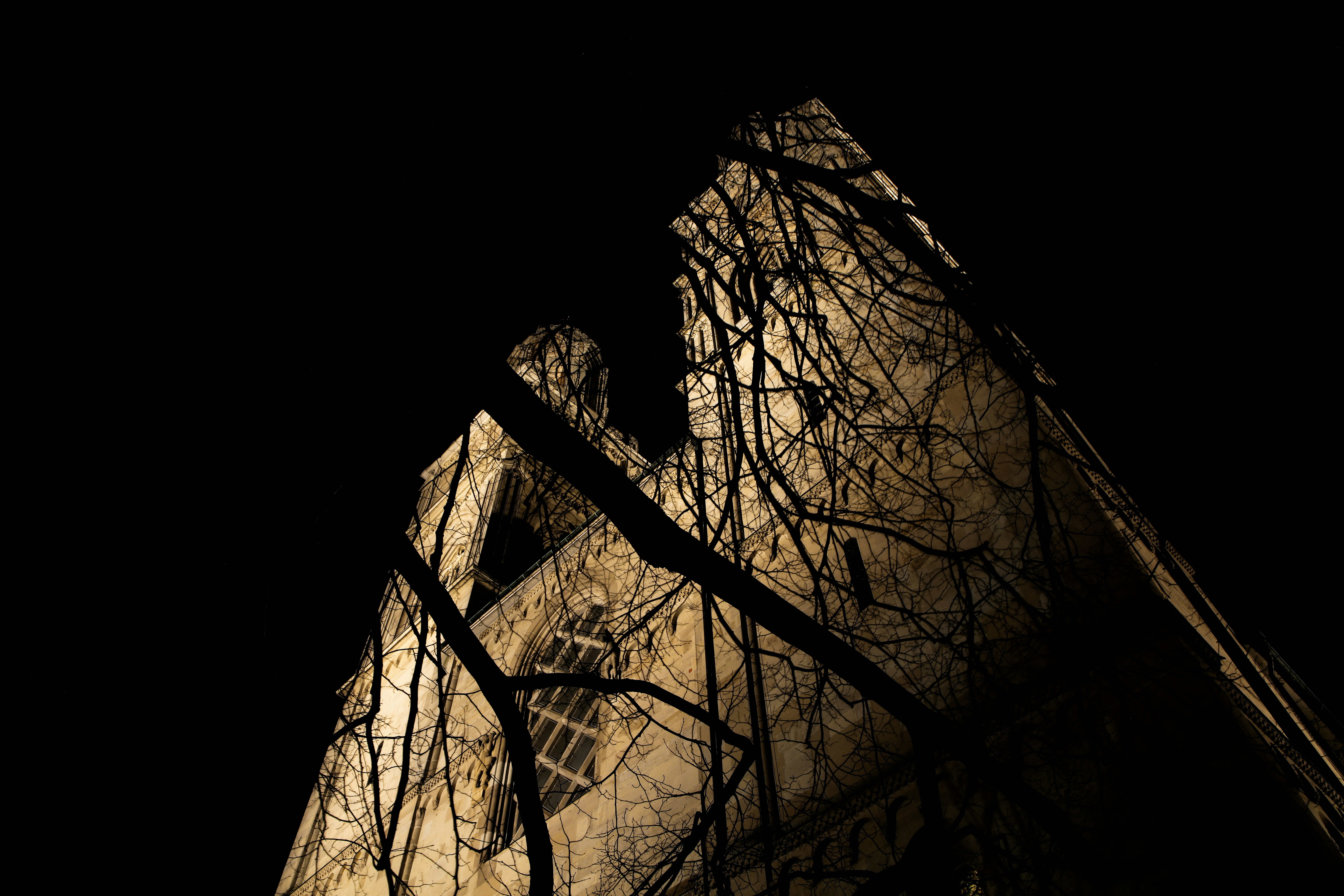 Définition de protestant | Dictionnaire français