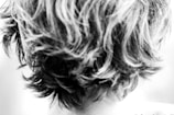 A close-up view of wavy, tousled hair with a mix of light and dark strands. The texture of the hair is curly and voluminous, with layers falling in a random, natural style. The focus is on the back of the head, providing a clear view of the intricate patterns formed by the curls.