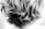 A close-up view of wavy, tousled hair with a mix of light and dark strands. The texture of the hair is curly and voluminous, with layers falling in a random, natural style. The focus is on the back of the head, providing a clear view of the intricate patterns formed by the curls.