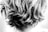 A close-up view of wavy, tousled hair with a mix of light and dark strands. The texture of the hair is curly and voluminous, with layers falling in a random, natural style. The focus is on the back of the head, providing a clear view of the intricate patterns formed by the curls.