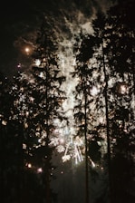 Fireworks are bursting amid tall trees at night, illuminating the dark sky with bright colors and light trails.