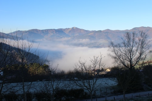 A serene landscape featuring mist-laden mountains fading into a clear blue sky. Bare trees frame the foreground, and a light mist hovers above a valley. Sunlight casts gentle highlights, suggesting early morning tranquility.