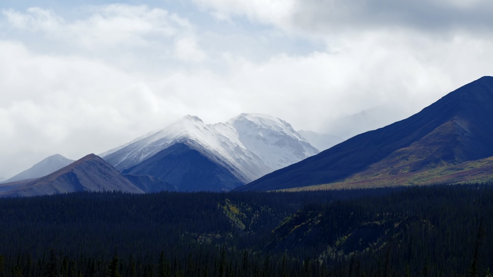 white and black rocky mountain during daytime