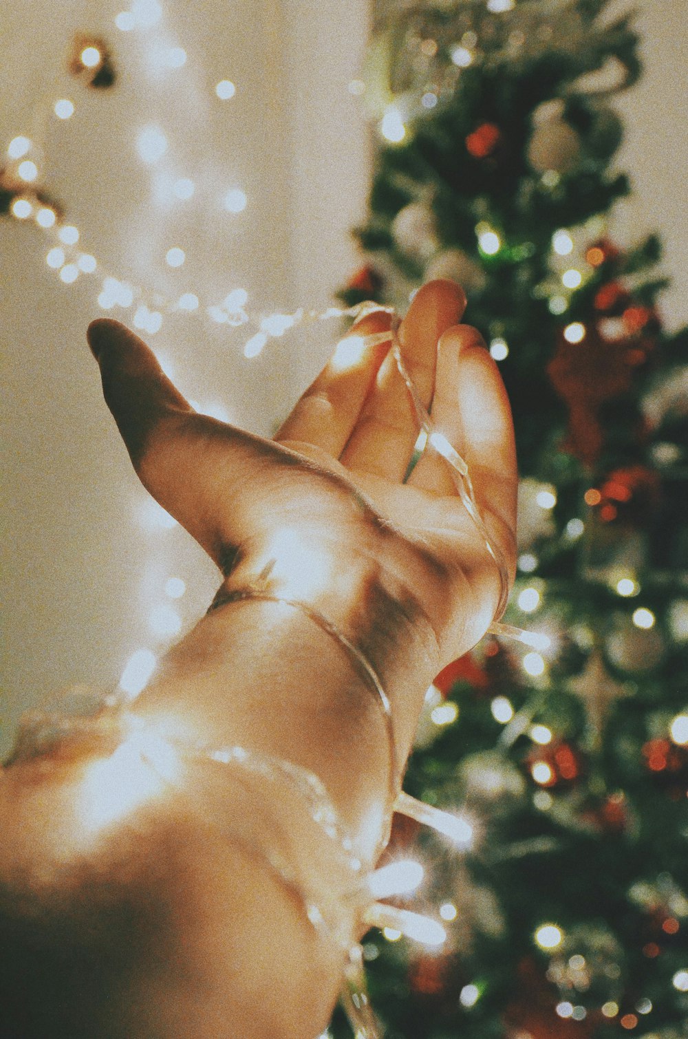 person holding stripe light near the Christmas tree
