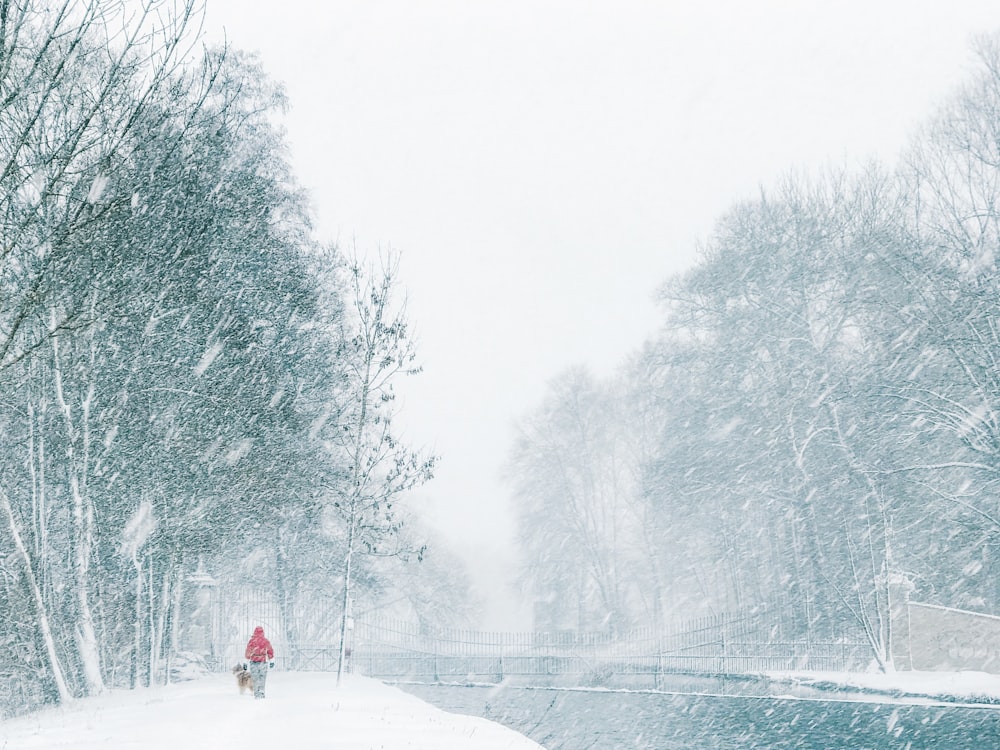 person walking on icy surface scenry