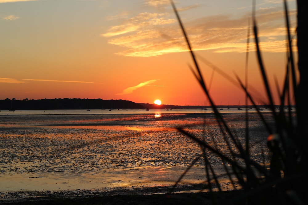 Photographie de nature du soleil se reflétant sur le plan d’eau pendant l’heure dorée