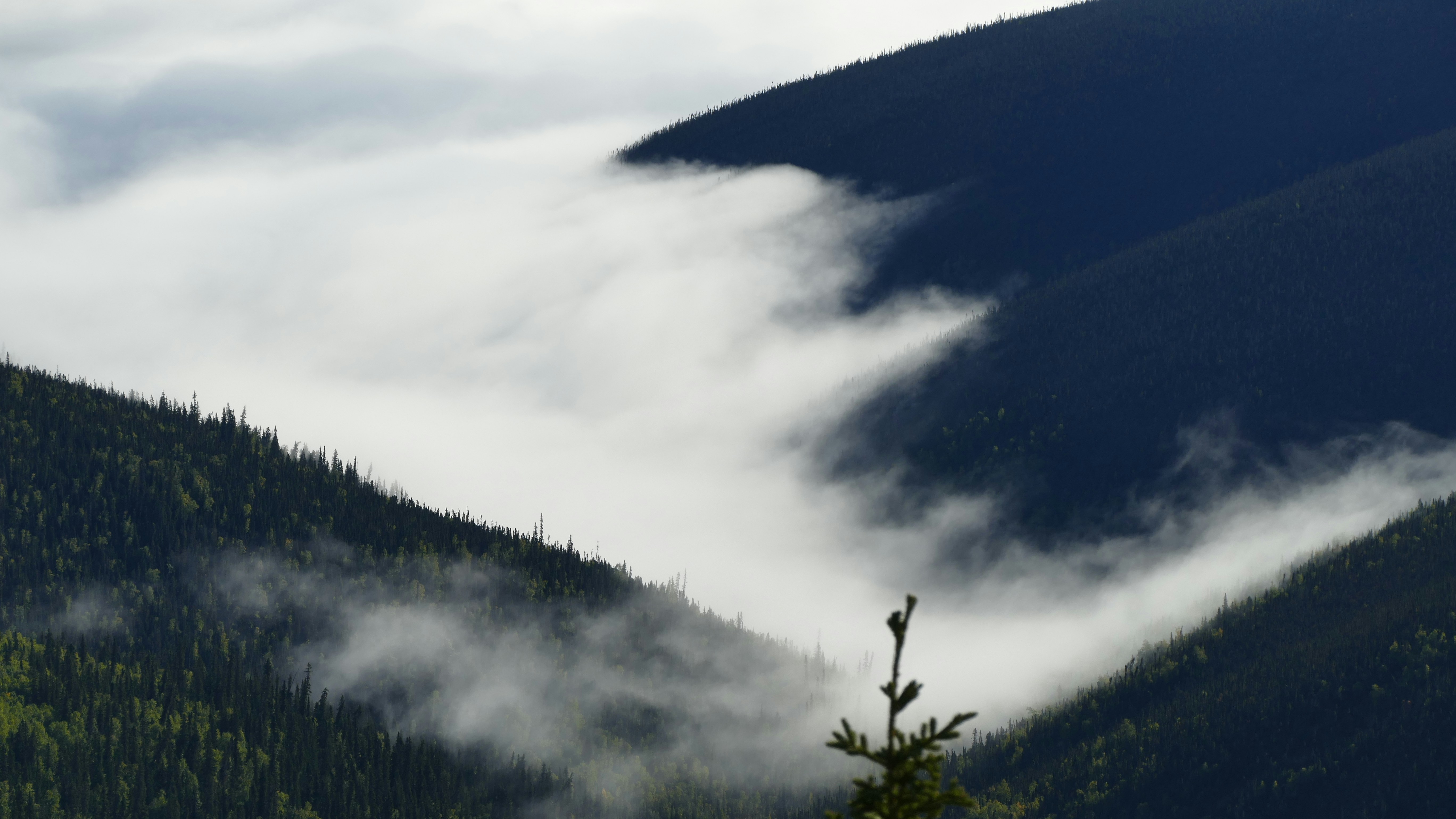 Photo by jorisbeugels