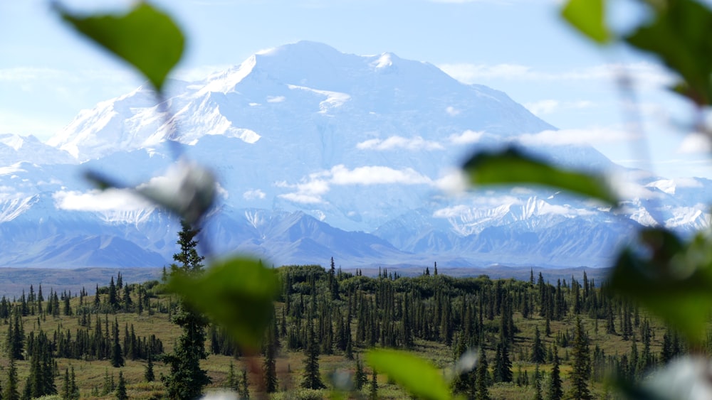 mountain covered with snow during daytime