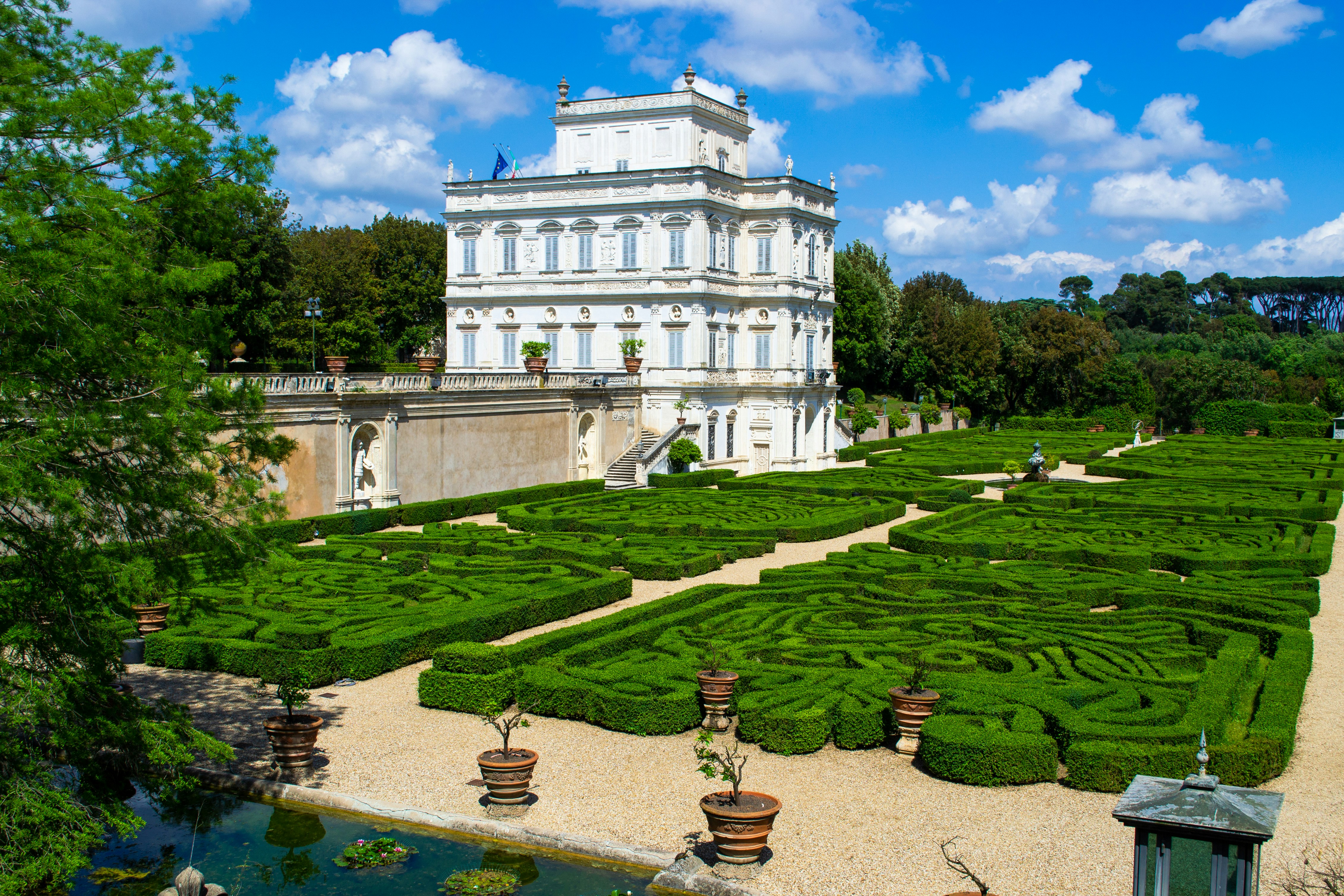 Photo by serenarepice