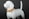 beige leather dog collar