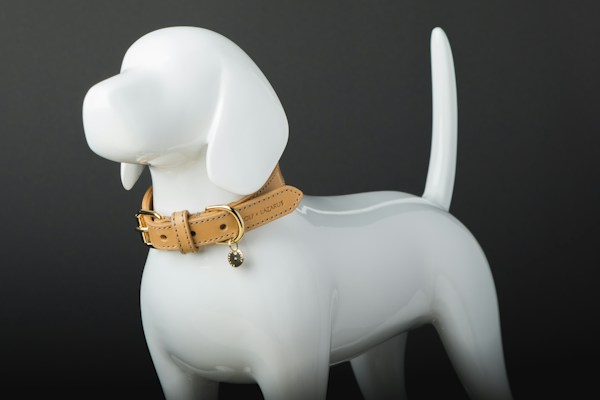 Beige leather dog collar