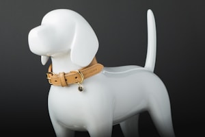 Classic Leather Collar