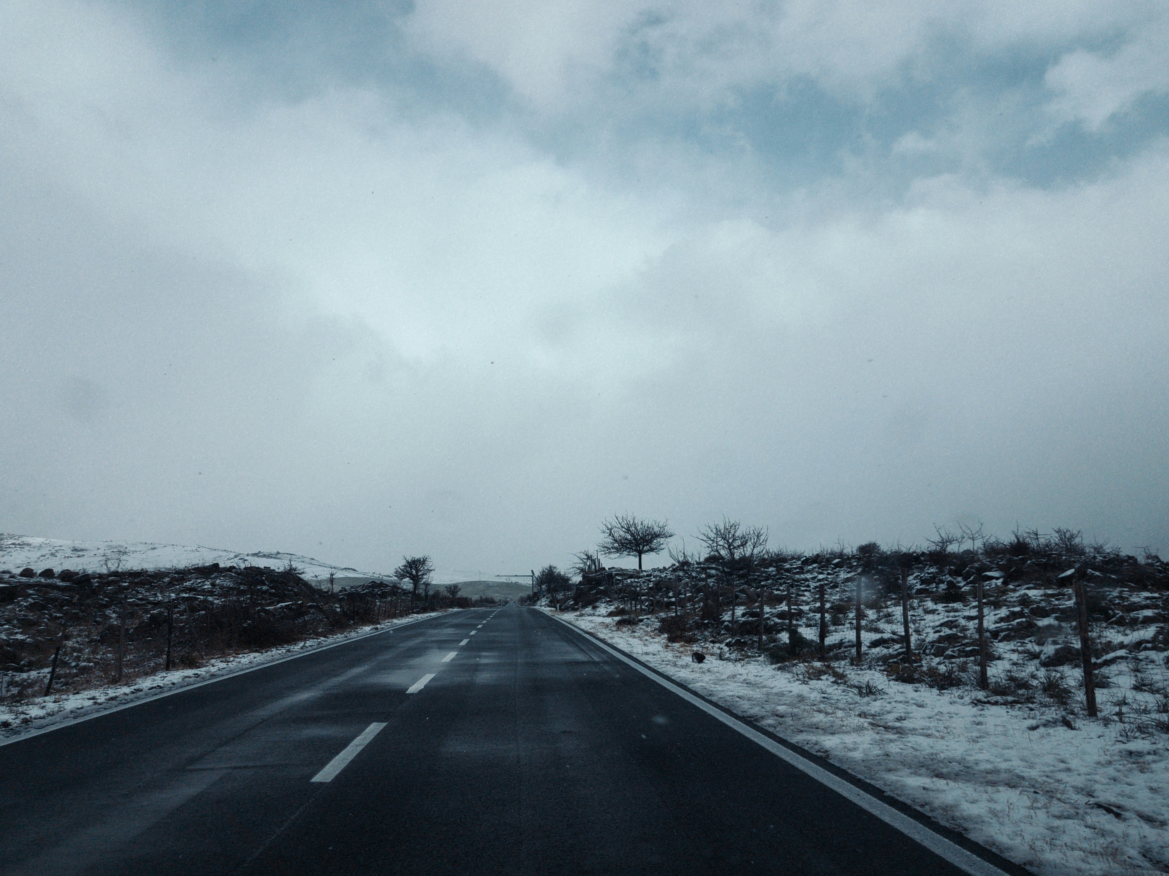 Темная дорога. Дорога черно белая. Что такое белые дороги. Дорога черно белая. Дорога в перспективе.