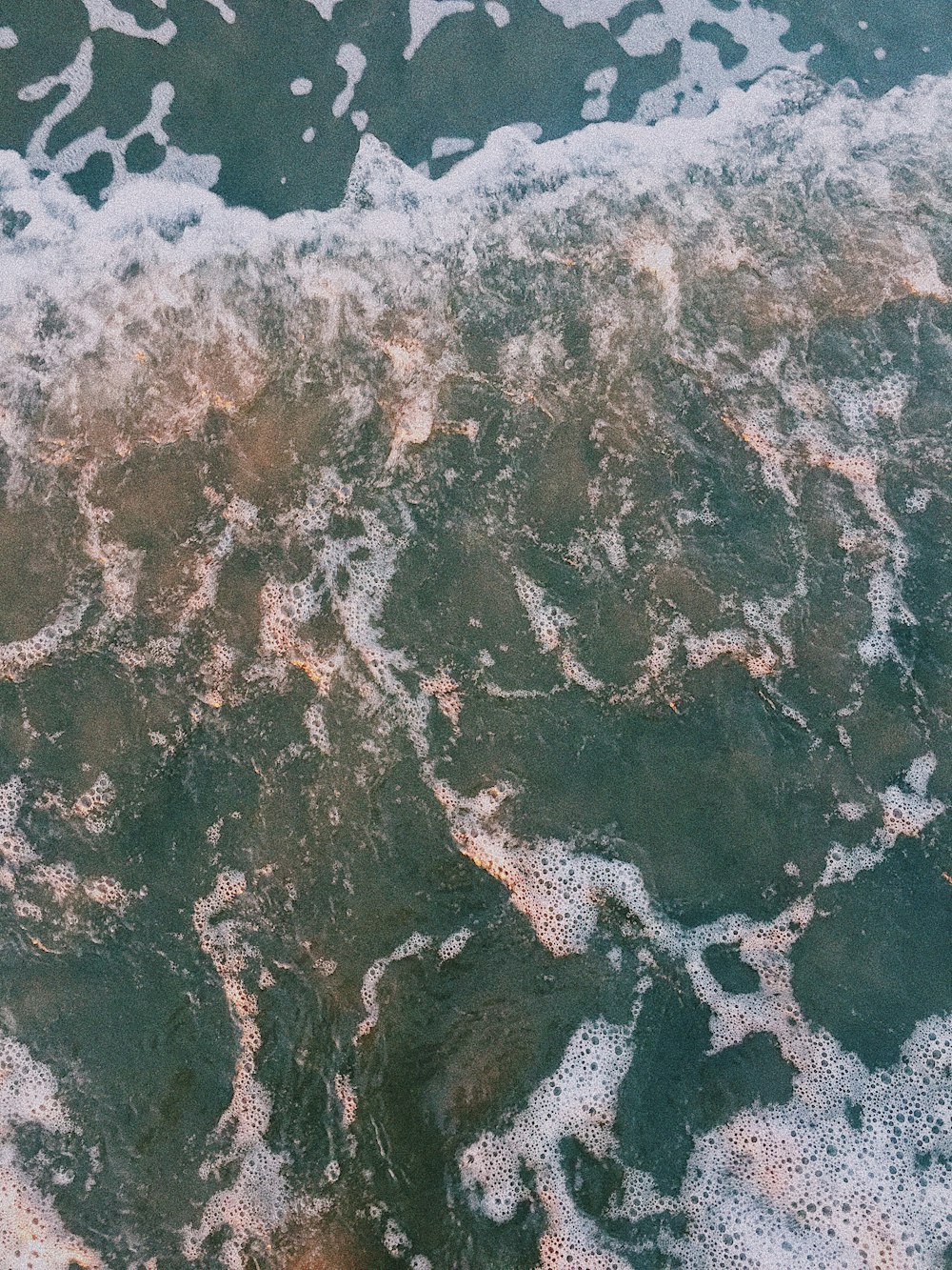 aerial photography of beach