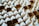 Rows of white pump dispensers are neatly packed in brown cardboard boxes, arranged closely together creating a pattern.