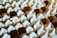 Rows of white pump dispensers are neatly packed in brown cardboard boxes, arranged closely together creating a pattern.